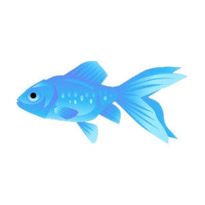Azure Goldfish